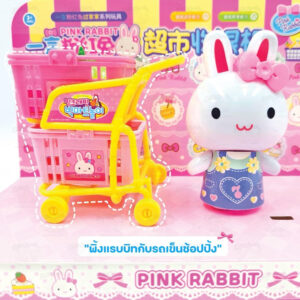 เซตแคชเชียร์ ชุดแคชเชียร์ pink rabbit พิงค์แรบบิท คละลาย